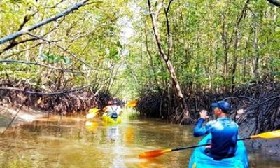 Ko Lanta Mangrove Kayaking and Old town