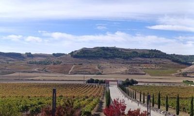 Pago de Carraovejas and Segovia from Madrid