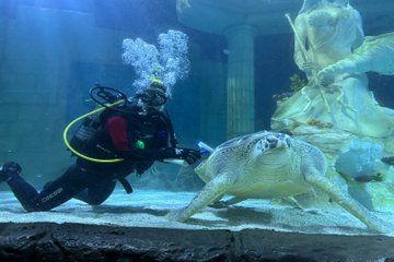 Sea Life Centre Porto