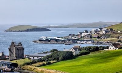 Scalloway & Shetland Ponies Private Shore Tour