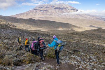 Mount Kilimanjaro Day Adventure Through Marangu Gate