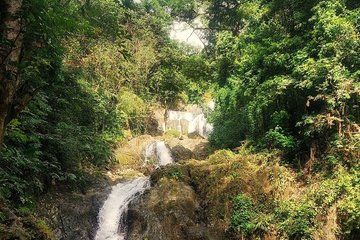 Rainforest and Argyle Waterfall Eco Tour in Tobago