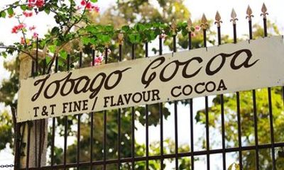 Cocoa Estate and Argyle Waterfall Tour in Tobago