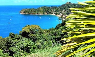 Caribbean Coast Highlights Hummingbirds, Waterfall and Beaches