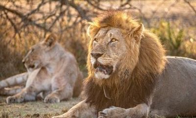 1-Day Akagera National Park Safari from Kigali