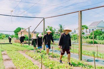 Hoi An Tra Que Village Farming Cooking and Massage Experience