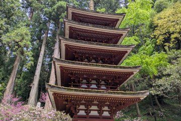 Day Tour from Osaka Muroji Temple Dragon Shrine and Art Forest