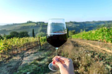 Private Barcelona Vineyard Tasting Shore Tour