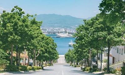 Hakodate Half Day Heritage Trail Experience 4 Hours