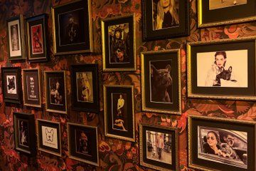 Three Hour Pub Crawl in Oslo with Local Guide