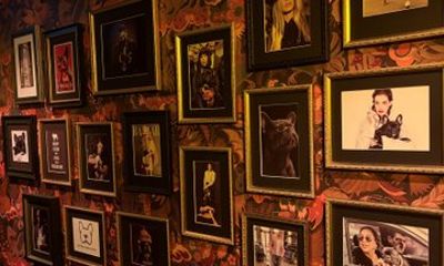 Three Hour Pub Crawl in Oslo with Local Guide