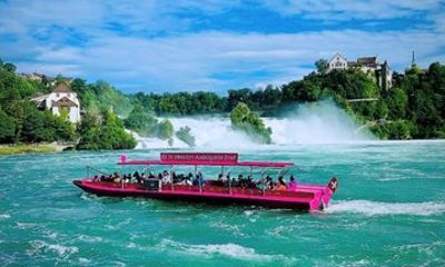 Rhine Falls Private Day Tour from Zurich