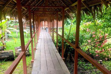 Amazon Jungle Tour 4 Days 3 Nights Peru Amazon Tours
