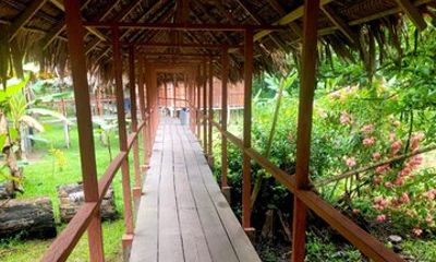 Amazon Jungle Tour 4 Days 3 Nights Peru Amazon Tours