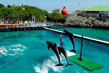 4 Destinations VIP Tour of Rosario Islands with Snorkeling and Lunch