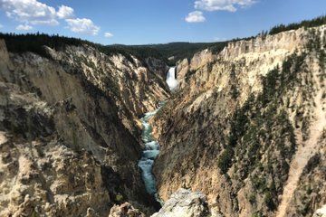 Private Yellowstone Wildlife and Geology Tour from Jackson Hole