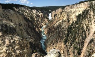 Private Yellowstone Wildlife and Geology Tour from Jackson Hole