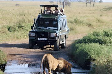 Akagera National Park Safari Adventure