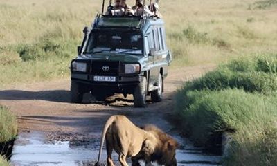 Akagera National Park Safari Adventure