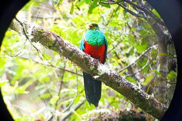 Manu Express 2 Day Amazon Paradise Tour from Cusco