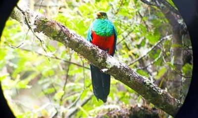 Manu Express 2 Day Amazon Paradise Tour from Cusco