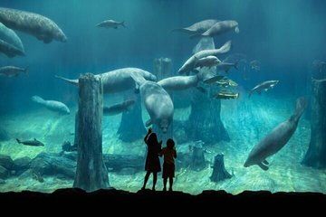 Skip the Line: Singapore River Wonders Admission Ticket