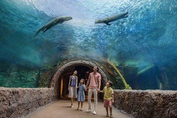 Skip the Line: Singapore River Wonders Admission Ticket