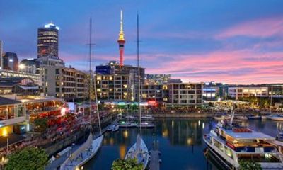 Private Auckland Half-Day & Full-Day Touring