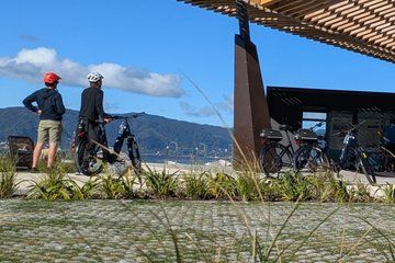 Wellington Harbour eBike Explorer (bike first then ferry)