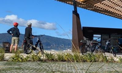 Wellington Harbour eBike Explorer (bike first then ferry)
