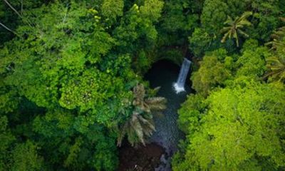 Best Bali Waterfalls All Inclusive Private Tour