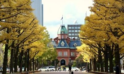 Sapporo Uncovered Tour Explore the Heart of Hokkaido