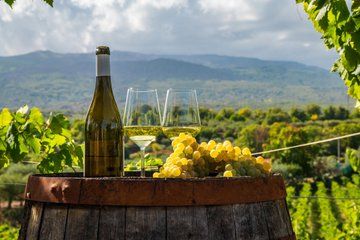 Irpinia Wine & Culinary Retreat – Private Shore Tour