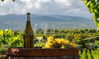 Irpinia Wine & Culinary Retreat – Private Shore Tour