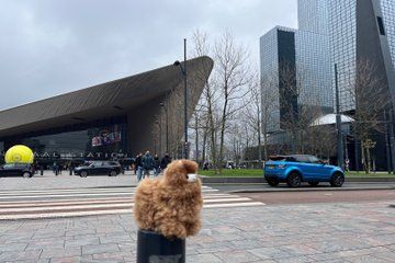 Hague and Rotterdam Full Day Adventure from Brussels