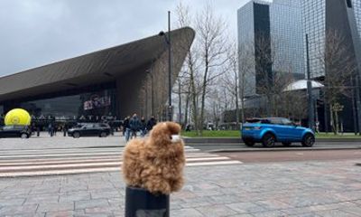 Hague and Rotterdam Full Day Adventure from Brussels