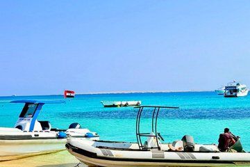 Private Speedboat Trip Dolphin House, Snorkeling and White Island