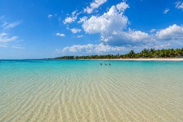 8-Day Private Kenya Safari Wildlife and Diani Beach Experience