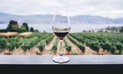 Sun Vines and Gold Rose Private Luxury Wine Journey from Cannes