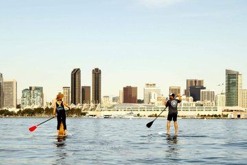 Guided Paddleboard Tour of Coronado