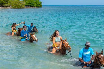 5 Day Jamaica Getaway with Tours in Montego Bay