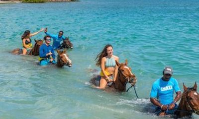 5 Day Jamaica Getaway with Tours in Montego Bay