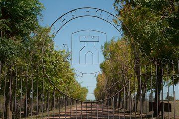 Old Castle Winery