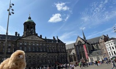 Amsterdam and Windmills Day Trip from Brussels