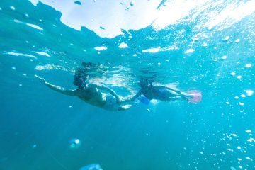 Sydney: Private Bondi Beach & Gordon’s Bay Snorkel Tour