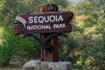 Sequoia National Park & Crystal Cave Day Tour from San Francisco