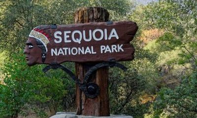 Sequoia National Park & Crystal Cave Day Tour from Oakland