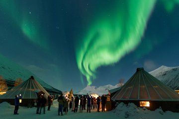 Wilderness Aurora Experience at Camp Tamok