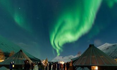 Wilderness Aurora Experience at Camp Tamok