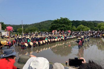Mibu Hanadaue Festival Bus Tour